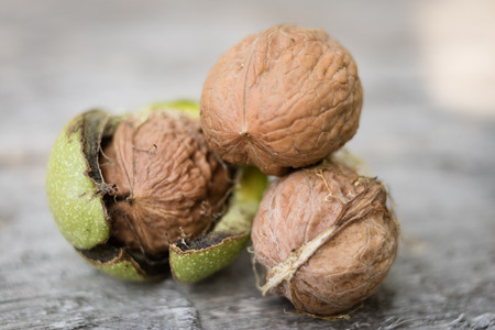 Ripening walnuts in shell. Fruit ready for harvesting on a wooden table. Season - autumn.