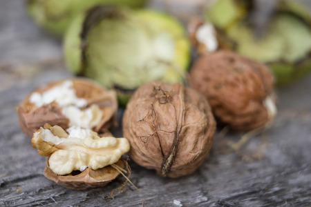 Ripening walnuts in shell. Fruit ready for harvesting on a wooden table. Season - autumn.