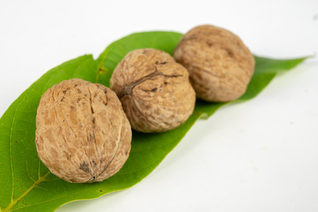 Walnuts in shell on a white kitchen table. Fruit for desserts and dishes in the kitchen. Light...