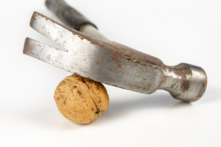 Hammer and italian edible nuts on a white kitchen table. Delicacies prepared for homemade pastries and cakes. White background.の写真素材