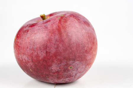 Apple with a piece of twig and leaves. Fruit brought straight from the garden. White background.の写真素材