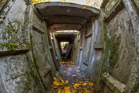 Ruined trenches in central europe. Old reinforced concrete German fortifications. Season of the autumnの写真素材