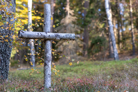 Birch cross in a deciduous forest. War graves from the Second World War in northern Poland. Season of the autumn.の写真素材