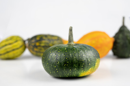 Decorative pumpkin on a white kitchen table. Fruit for halloween for decorations. Autumn background.の写真素材