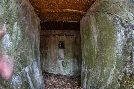 Demolished bunker in Central Europe. Old reinforced concrete fortifications of the Pomeranian embankment. Season of the autumn.の写真素材