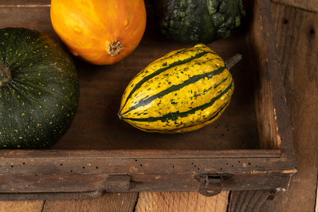 Decorative pumpkin on a white kitchen table. Fruit for halloween for decorations. Autumn background.の写真素材