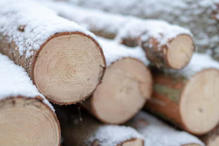 Logs covered with fresh snow. A pile of wood in the forest. Winter scenery.の写真素材