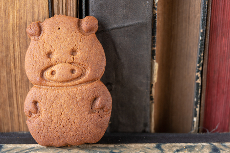 Tasty gingerbread and book loss. Dessert on a wooden table in the cabinet. Light background.の写真素材