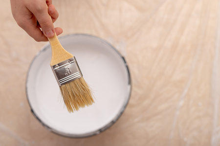 Roller and brush for painting with paint. Painting accessories prepared for painting. Light background.の写真素材