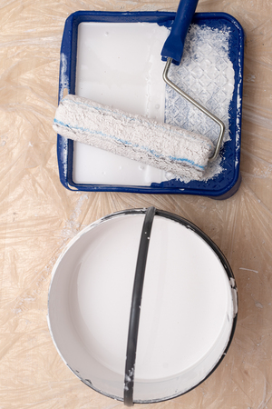 Roller and brush for painting with paint. Painting accessories prepared for painting. Light background.の写真素材