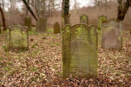 Jastrowie, zachodniopomorskie / Poland - March, 21, 2019: The Old Jewish Cemetery. Neglected tombstones in a forgotten cemetery. Season of the spring.のeditorial素材