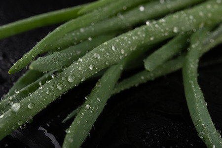 Fresh wet young onion on the kitchen table. Sliced chives on a kitchen board. Dark background.の写真素材