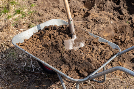 Wheelbarrow and spade in the garden. Cleaning works in the garden by single-family houses. spring time.の写真素材