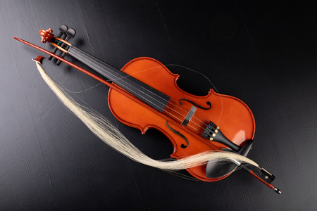Broken bow to the violin. Damaged musical instrument. Dark background.の写真素材
