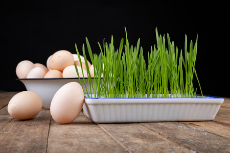 Eggs from hens on a wooden kitchen table. Fresh rye sprouts in a porcelain bowl. Dark background.の写真素材