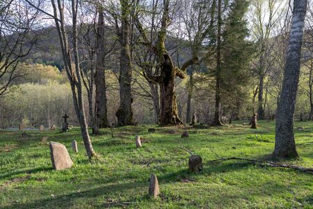 Wolosate, Malopolskie / Poland - April, 28, 2019: Old cemetery in a village in the mountains. Burial place in a small village. Season of the spring.のeditorial素材