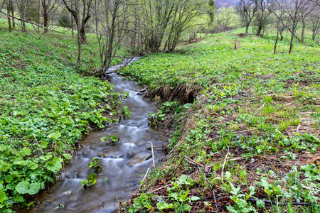 A fast stream in mountainous terrain. Water flowing in the river shown in a long exposure. Season of the spring.の写真素材