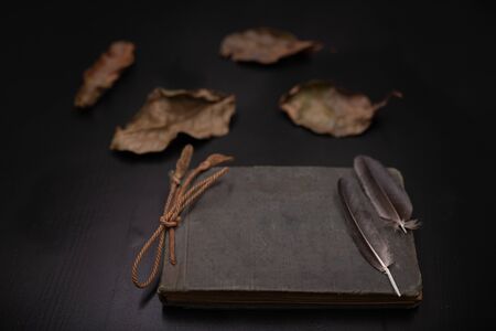 An old diary with stained pages and a small bird's feather. Notebook on a dark table and dry leaves from a tree. Black background.の写真素材
