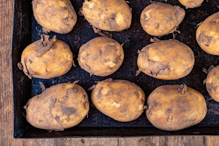 New potatoes on a metal baking sheet. Vegetables prepared for cleaning. White background.の写真素材