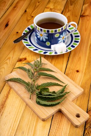 Tasty nettle tea in a cup. Freshly cut nettle and infected tea on a wooden table. Light background.の写真素材