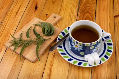 Tasty nettle tea in a cup. Freshly cut nettle and infected tea on a wooden table. Light background.の写真素材