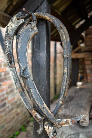 Harness for a horse in an old stable. Old equestrian accessories. Place - stable.の写真素材
