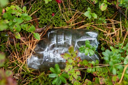 A plastic bottle left in the forest. Plastic wastes threatening the environment. Autumn season.の写真素材