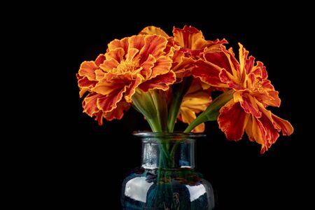 Fresh wild flowers in a glass vase on a dark table. Beautiful colorful flower bouquet. Black background.の写真素材