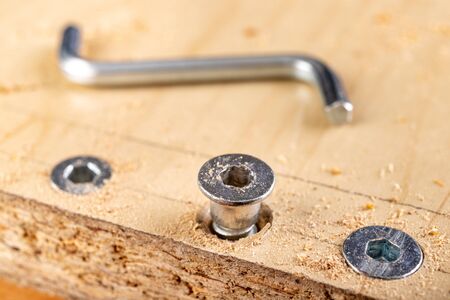 Confirmat screw used in connecting chipboard. Connections used in furniture making. Light...