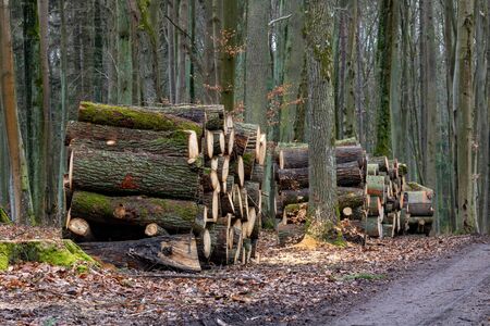 A pile of wood arranged along a forest road. Wood prepared for export. Season winter.