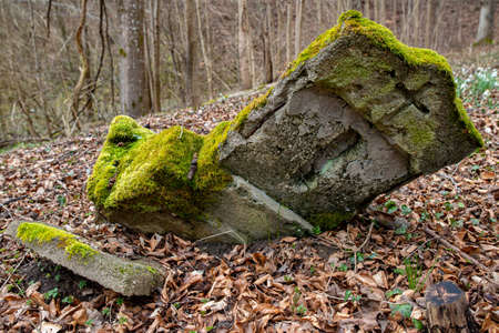 Ciecholub, pomorskie / Poland - March, 13, 2020: Old forgotten Evangelical cemetery. Burial place from the last century. Spring season.のeditorial素材