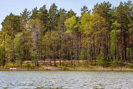 Wild beach on a small lake in the forest. A place to relax by the water in the woods. Spring season.の写真素材
