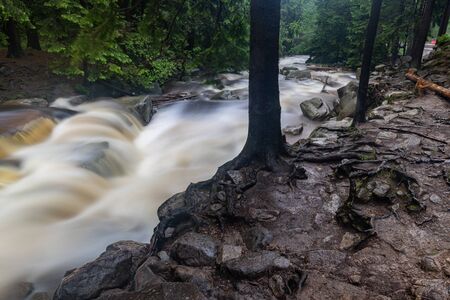 Mountain river flowing in a forest area. Watercourse in mountainous terrain. Summer season.の写真素材