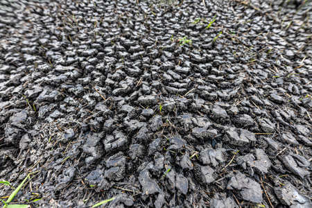 Dry soil in Central Europe. Drought and global warming in Europe. Summer season.