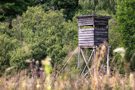 Hunting pulpit standing on the edge of the forest. Wooden structure for hunting. Summer season.の写真素材
