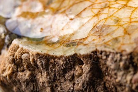 Partially molten quartz. Dirty vitrified glass material. Dark background.の写真素材