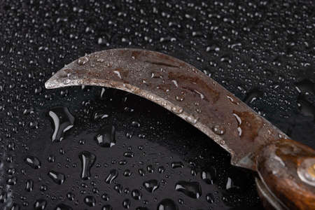 Wet knife used for gardening. Garden tools covered with drops of water. Dark background.の写真素材