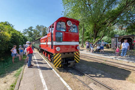 Venice, Kujawsko-Pomorskie / Poland - August, 16, 2020: Narrow-gauge railway in Central Europe. Wagons, locomotive and train station in the tourist railway. Season - summer.のeditorial素材