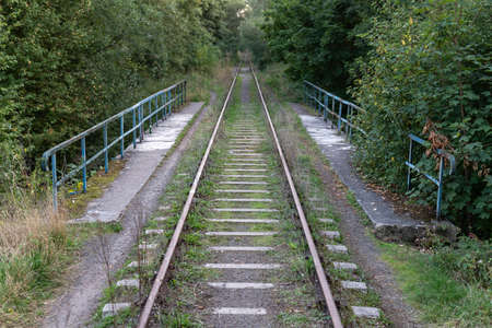 Viaduct with railings for old railway tracks. Old overgrown railway traction. Autumn season.の写真素材