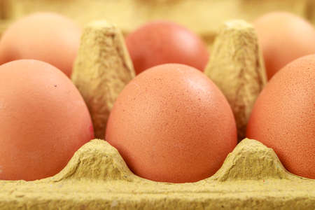 Fresh eggs in a cardboard form. Tasty eggs for baking bread in the bakery. Light background.の写真素材