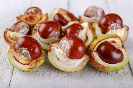 Ripe chestnuts in their shell on a wooden table. The fruits of a large deciduous tree. Light background.の写真素材