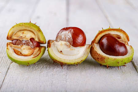 Ripe chestnuts in their shell on a wooden table. The fruits of a large deciduous tree. Light background.の写真素材