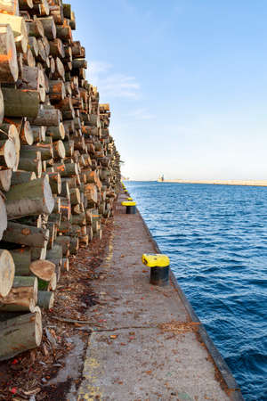 A pile of hardwood piled in the harbor. Wood ready for loading. Autumn season.の写真素材