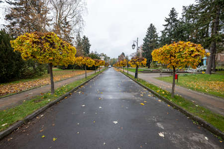 Ciechocinek, kujawsko-pomorskie / Poland - November, 17, 2020: A park in an autumn scenery in a small town. A place of relaxation for spa patients. Autumn season.のeditorial素材