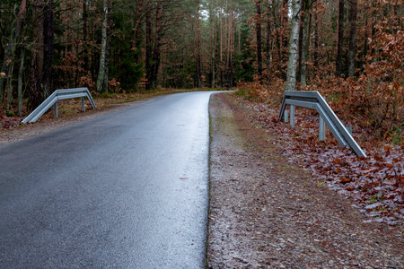 Asphalt road leading through the forest. Metal energy-consuming barriers to protect against accidents. Autumn season.の写真素材