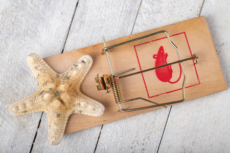 Mousetrap and starfish shell. Holidays in exotic countries can be a dangerous financial loophole. Light background.の写真素材