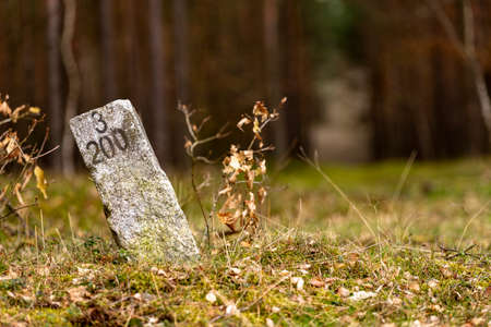 White stone pillar with markings for foresters. Landmark in the woods. Spring season.の写真素材