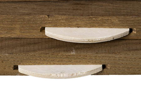 Connecting colored ash planks with lamellas. Pieces of wood prepared for gluing with carpentry glue. Isolated background.の写真素材