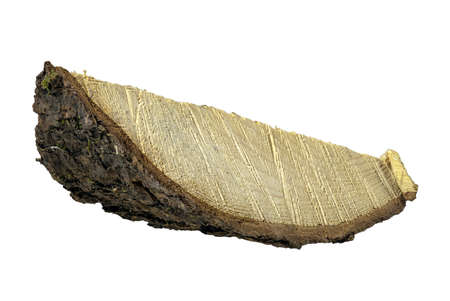 Cross section of a piece of pine wood. Wood grain visible in cross section. Isolated background.の写真素材