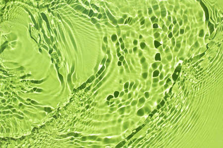 Natural sunlight and shade. Beautiful bursts and glare. Summer mood. Minimal style.の写真素材